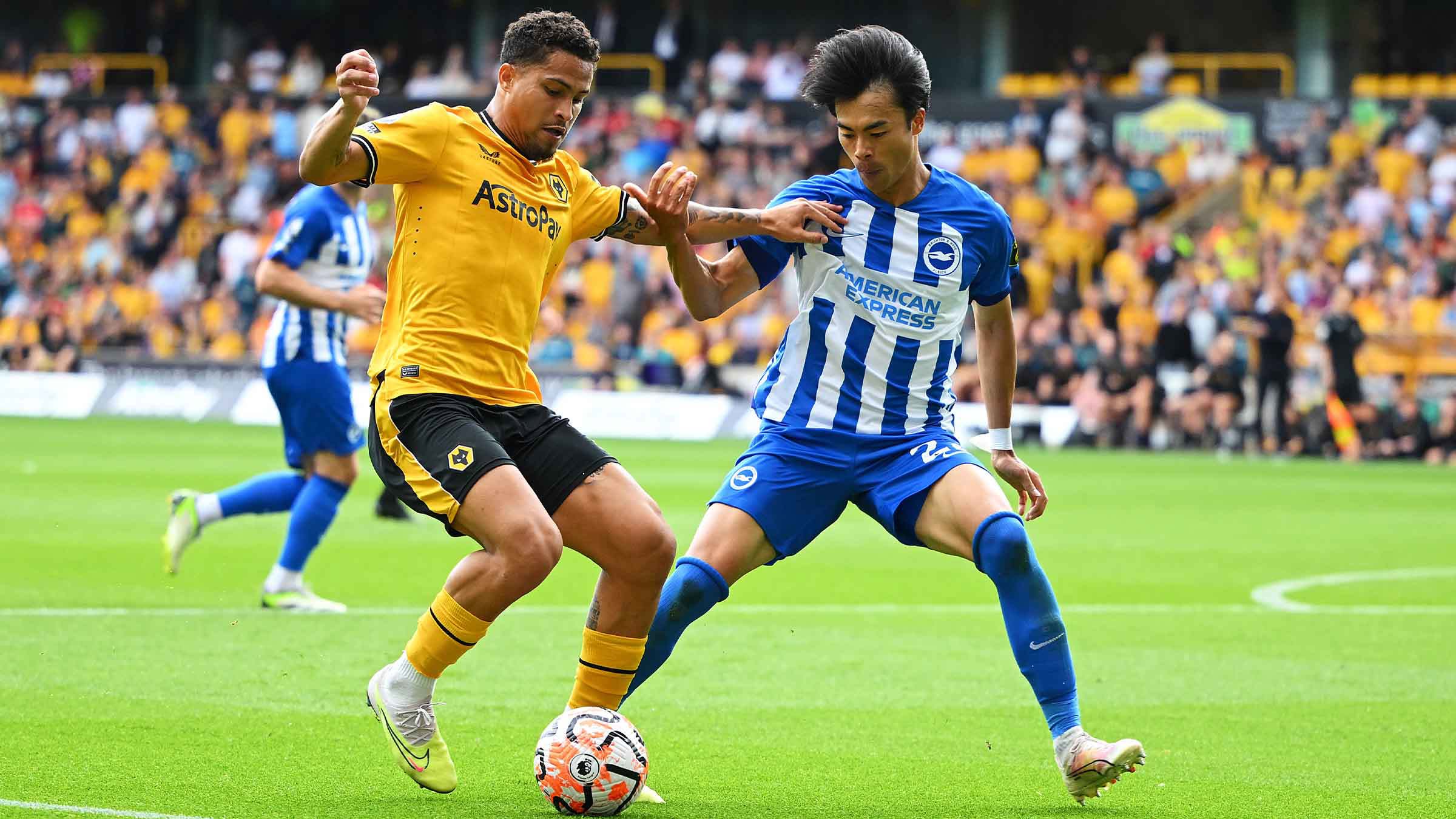 Nhận định Brighton vs Wolves 21h00 ngày 26/10 Ngoại hạng Anh